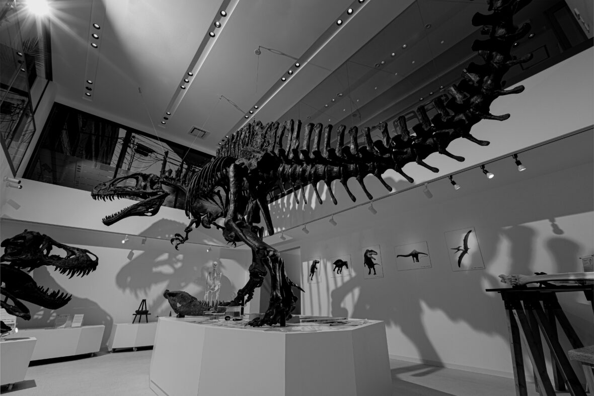 TCAダイナソーミュージアムツアー』学校法人滋慶学園 TCA東京ECO動物